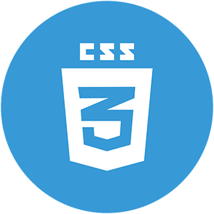 css3